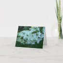 Recherche de hortensia vœux cartes Fleurs
