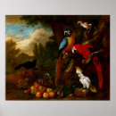 Suche nach macaws poster Rot