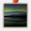 Suche nach baum silhouette ornamente Sonnenuntergang