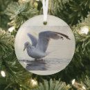 Suche nach möwe ornamente Vögel