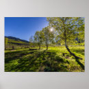 Suche nach sonnenaufgang poster Grün