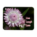 Suche nach lachs magnete Rosa