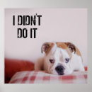 Suche nach english bulldog poster Niedlich