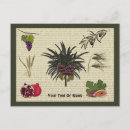 Suche nach weizen postkarten Getreide