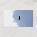 Recherche de oiseau de proie cartes visite Affaires