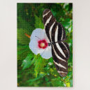 Recherche de zèbre puzzles Animal