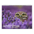 Suche nach lavendel kalender Lila