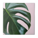 Suche nach tropische fliesen Monstera
