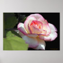 Suche nach princess kunst Fotografie