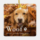 Suche nach lustige fotos ornamente Hund