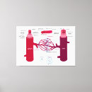 Suche nach arterien leinwandbilder Blut