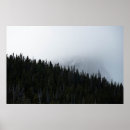 Suche nach grüner baum poster Natur