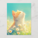 Recherche de marguerites blanches cartes postales Toute personne