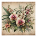 Recherche de vintage orchidee poster Floral