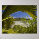 Recherche de seychelles art Palmier