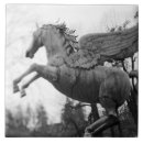 Suche nach salzburg fliesen Fotografischer stil