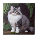 Recherche de persans carreaux Perse