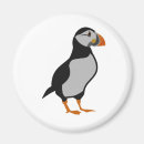 Recherche de jolis oiseaux magnets Adorable