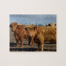 Recherche de vaches des montagnes puzzles Écossais