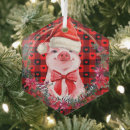 Suche nach weihnachtsschwein ornamente Ferkel