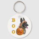 Recherche de berger malinois accessoires Dog