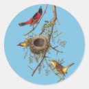 Recherche de audubon autocollants Oiseau