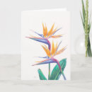 Suche nach tropische blumen karten Luau