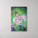 Suche nach hübscher schmetterling leinwandbilder Girly