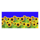 Recherche de fleurs cartes publicitaires Jaune