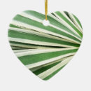 Suche nach agave ornamente Grün