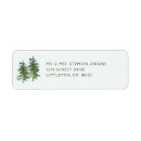 Recherche de bois olive Vert et blanc