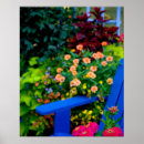 Recherche de pétunia art Floraison