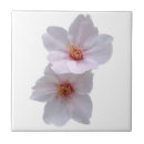 Recherche de sakura carreaux Fleur
