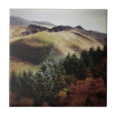 Suche nach wales fliesen Wald