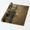 Suche nach stehend geschenkpapier Wild