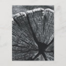 Suche nach das detail postkarten Fotografie