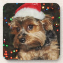 Recherche de santa claus hats Arbre de noël