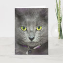Suche nach graue katzen karten Haustier