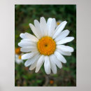 Suche nach friendly poster Blume