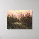 Recherche de caspar posters Oiseau