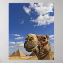 Recherche de egypt posters Caire