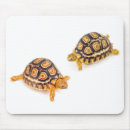 Suche nach schildkröte muschel mousepads Natur