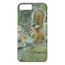 Suche nach chipmunks iphone hüllen Natur