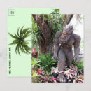 Recherche de skunk ape Floride