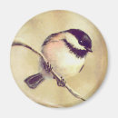 Recherche de brindille magnets Bois