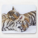 Suche nach gefangene mousepads Nahaufnahme