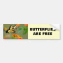 Suche nach schmetterling autoaufkleber Insekt