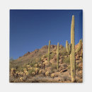 Suche nach tucson magnete Nationalpark