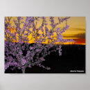 Suche nach mandelblüten poster Mandelbaum
