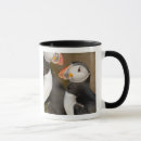Recherche de puffin tasses Île
